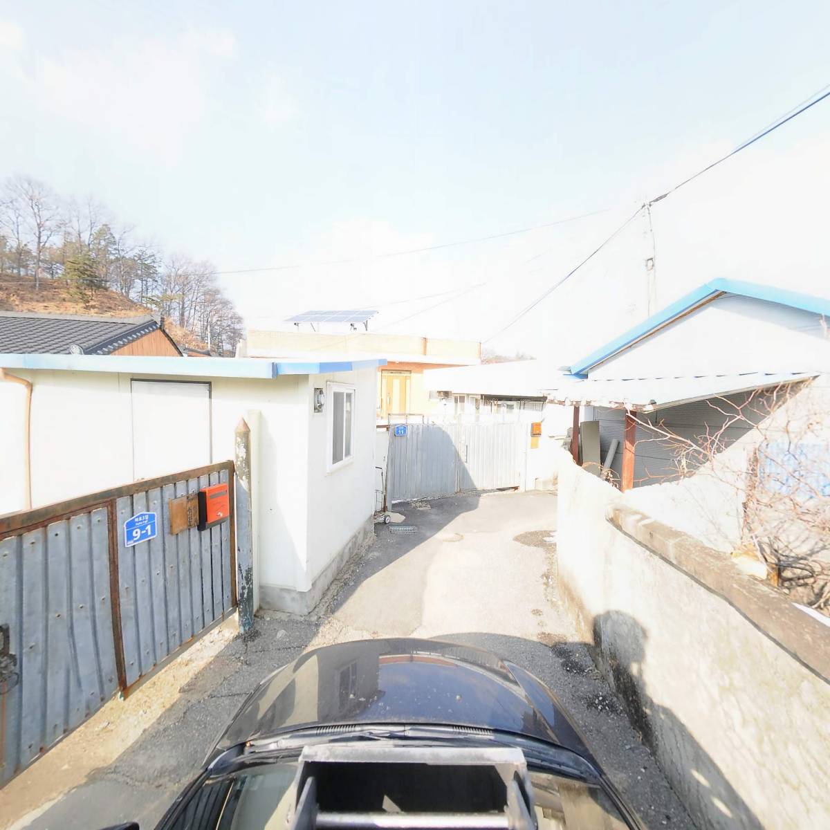 금산청정인삼작목반_4