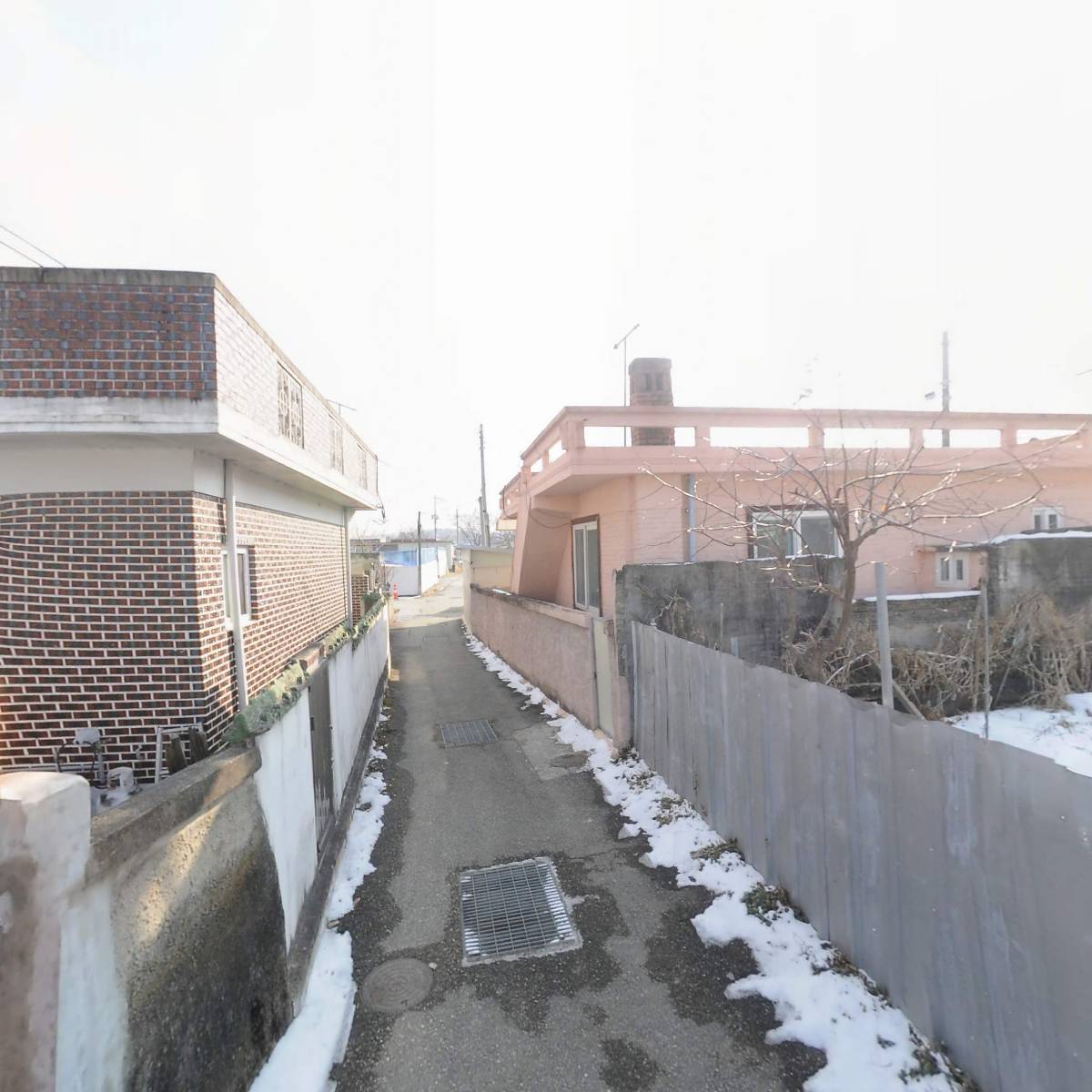 금산청정인삼작목반_2