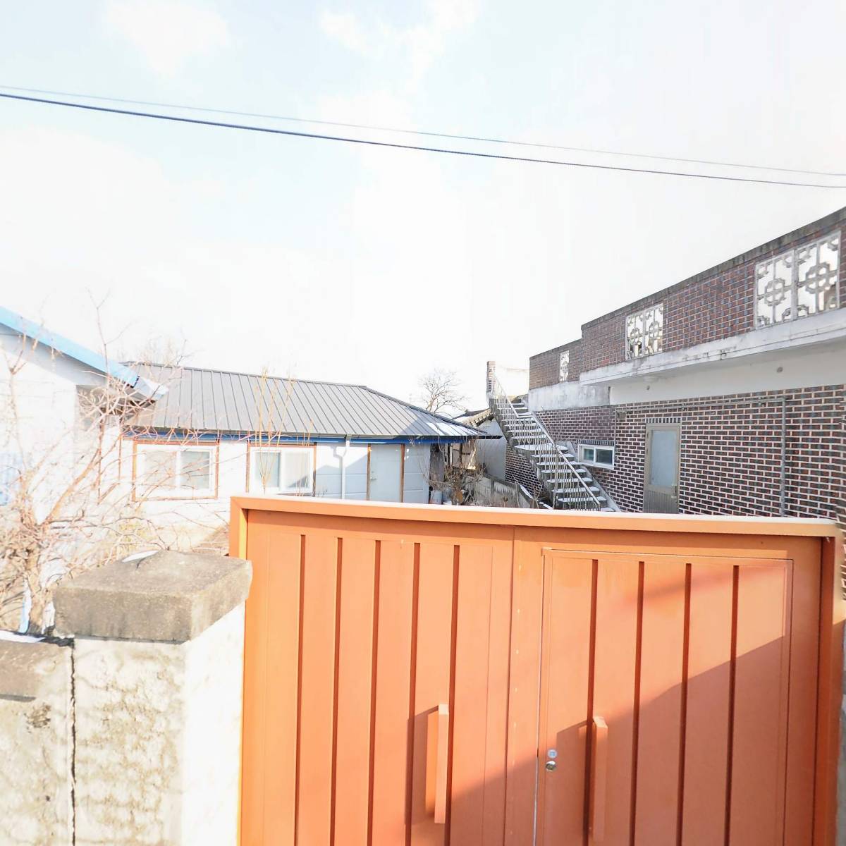 금산청정인삼작목반