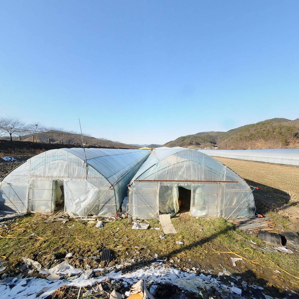 농업회사법인（주）동강