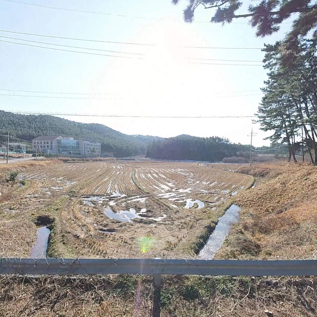 태안앤스페인영농조합법인