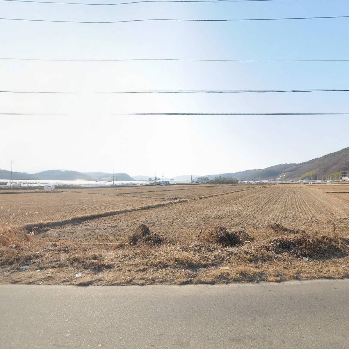 골든벨리영농조합법인_3