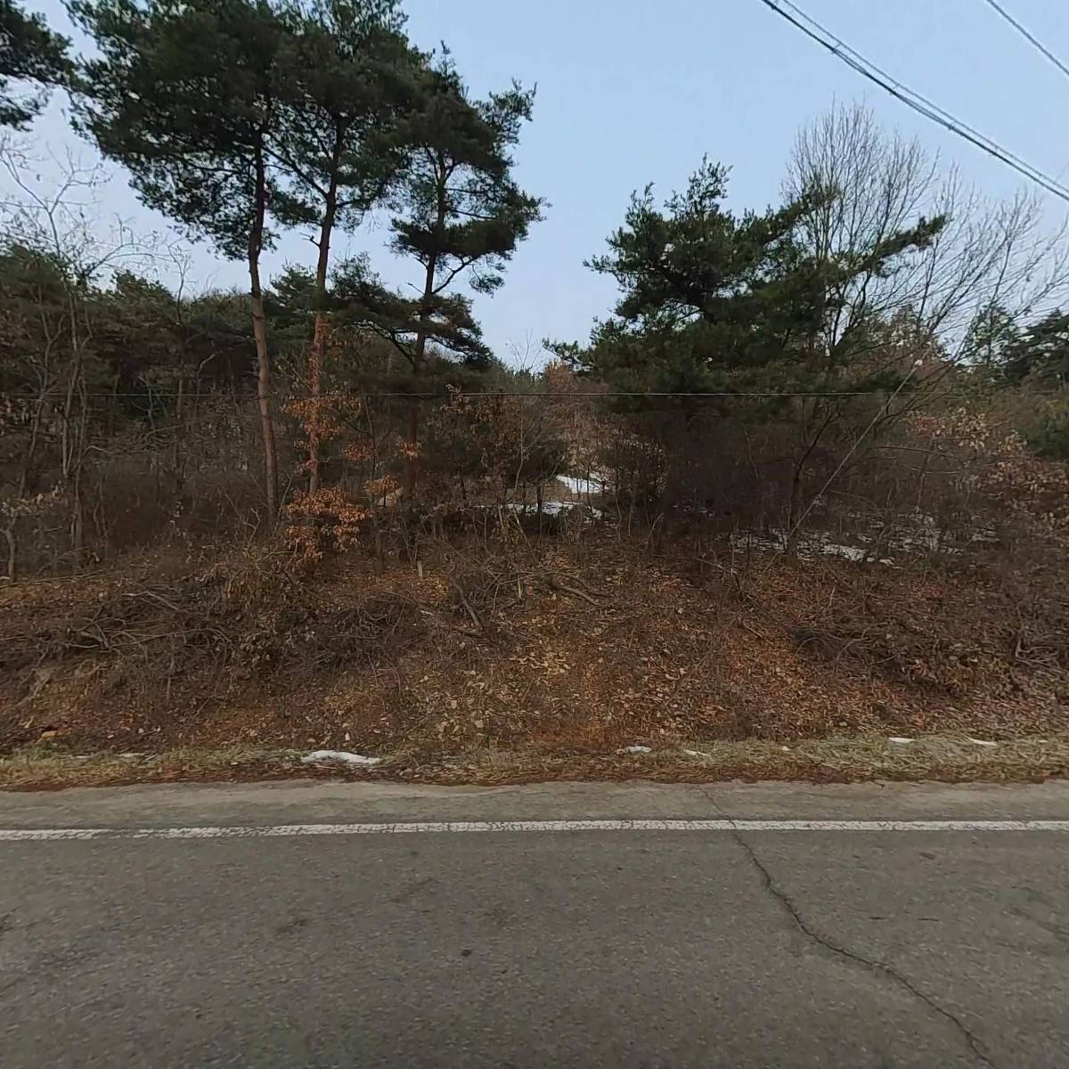 대일농장_3