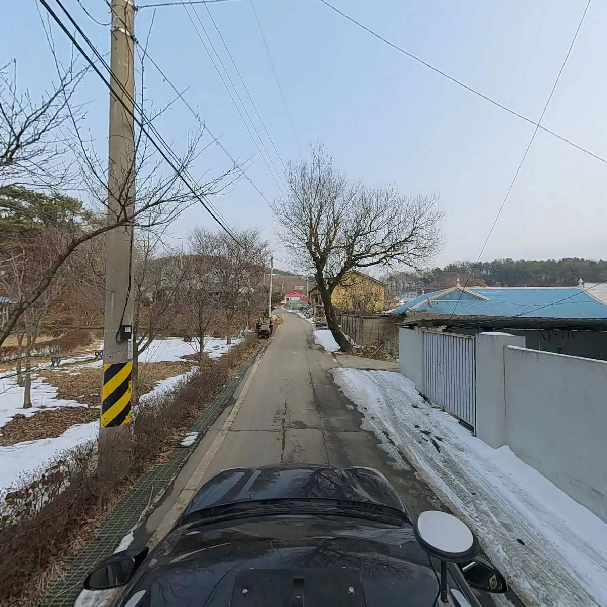 금마_4