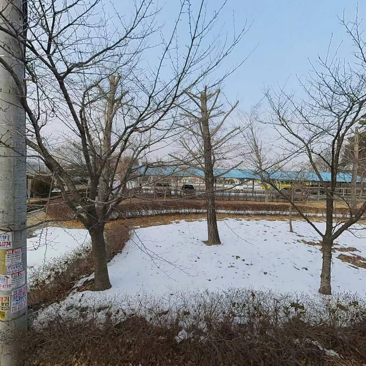금마_3