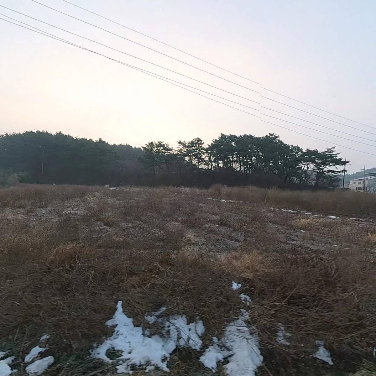 둥지수산_3