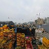 디엠티씨티（주）_3