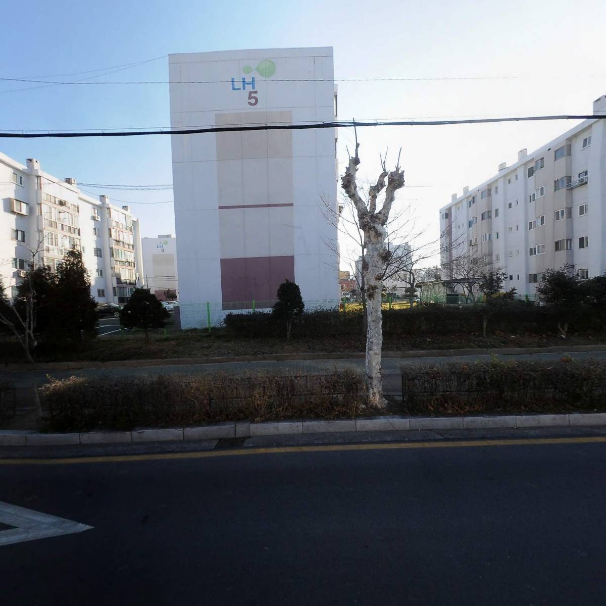 유한책임회사 두번째생일