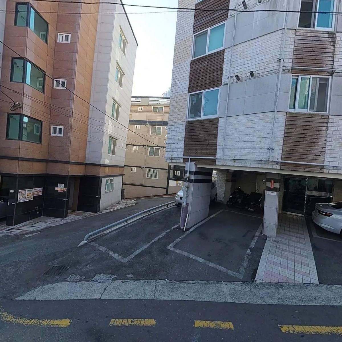 드라이데코_3
