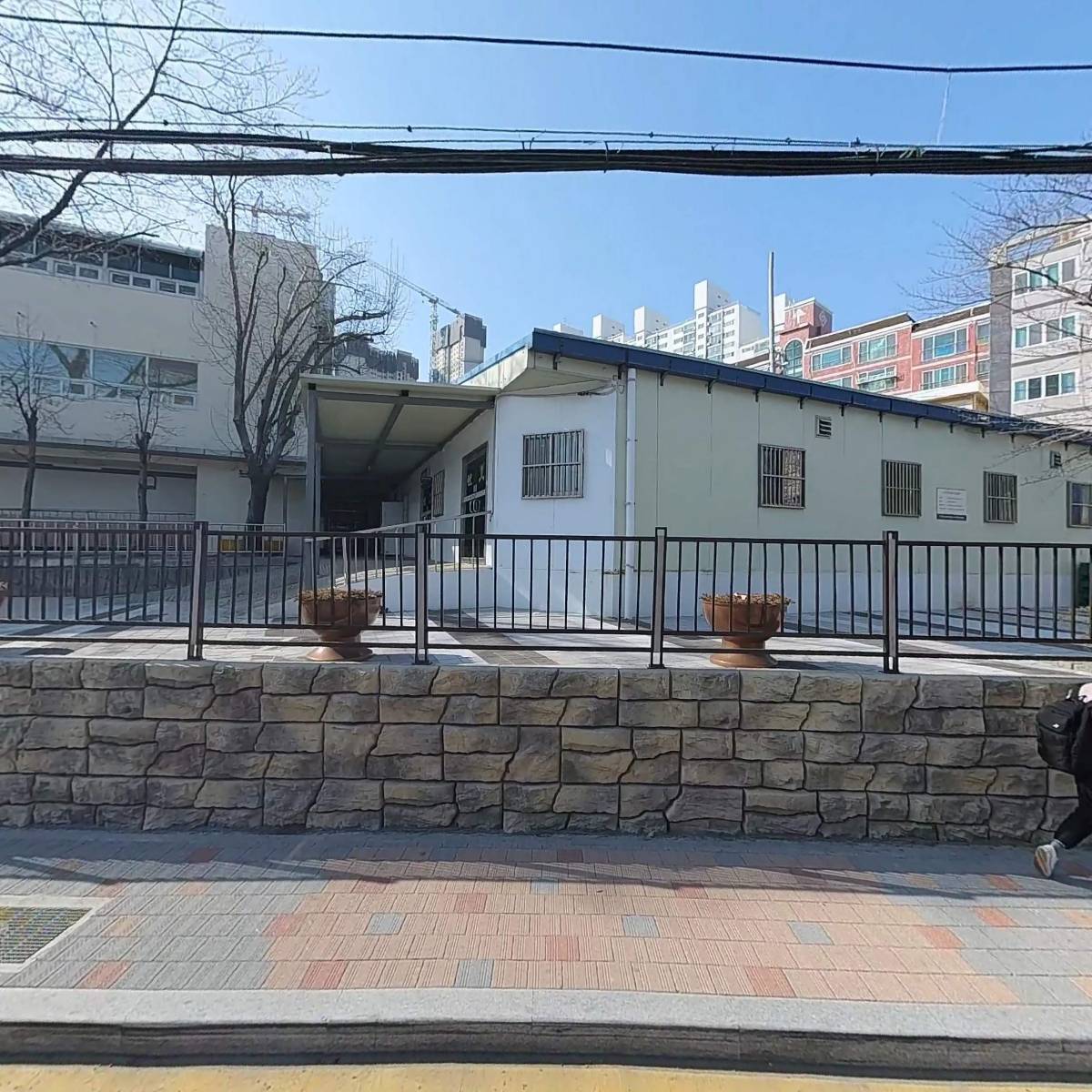 돈나무컨설팅
