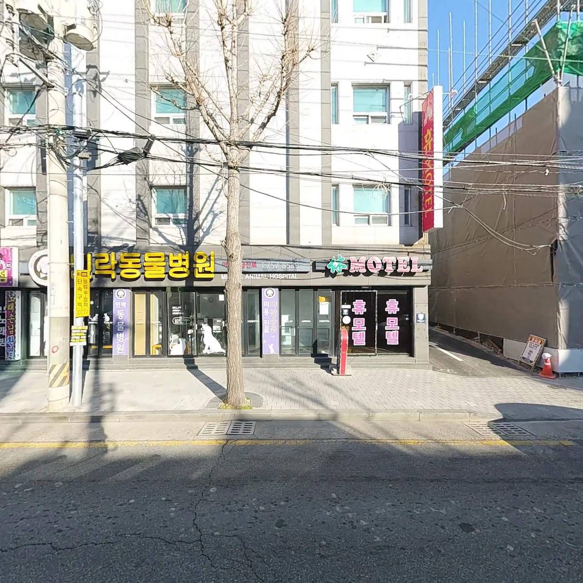 모노조명