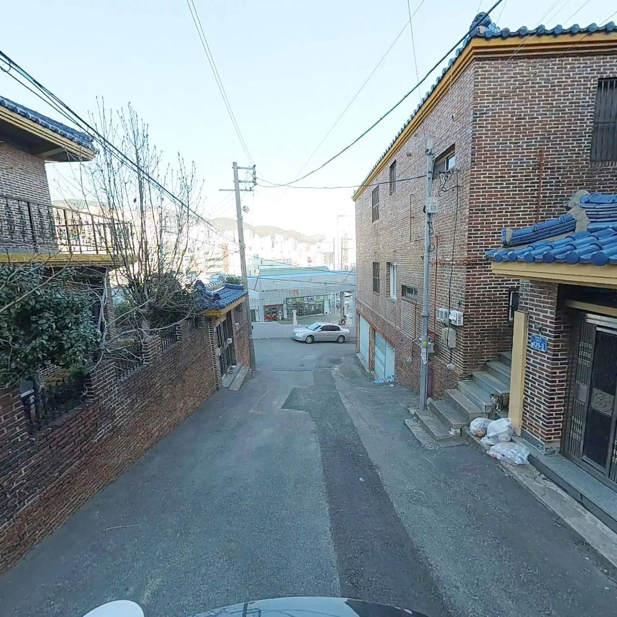 삼백삼평산호_2