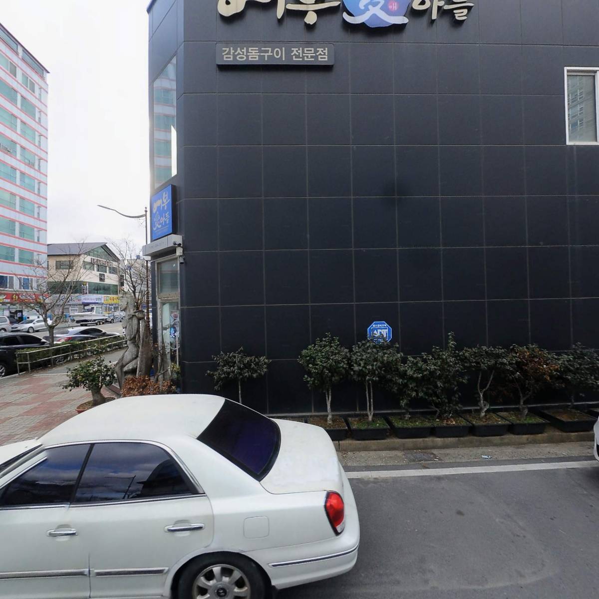 어부애아들