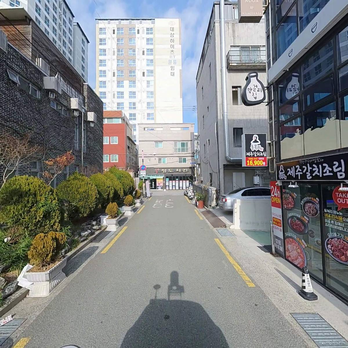 골드클로버_2