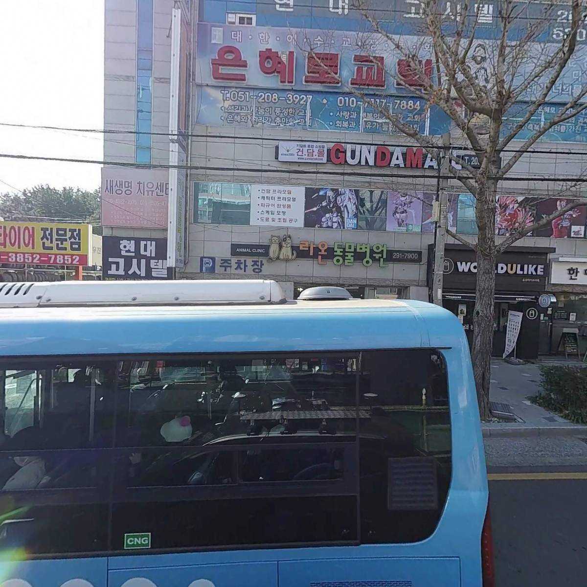 라온동물병원