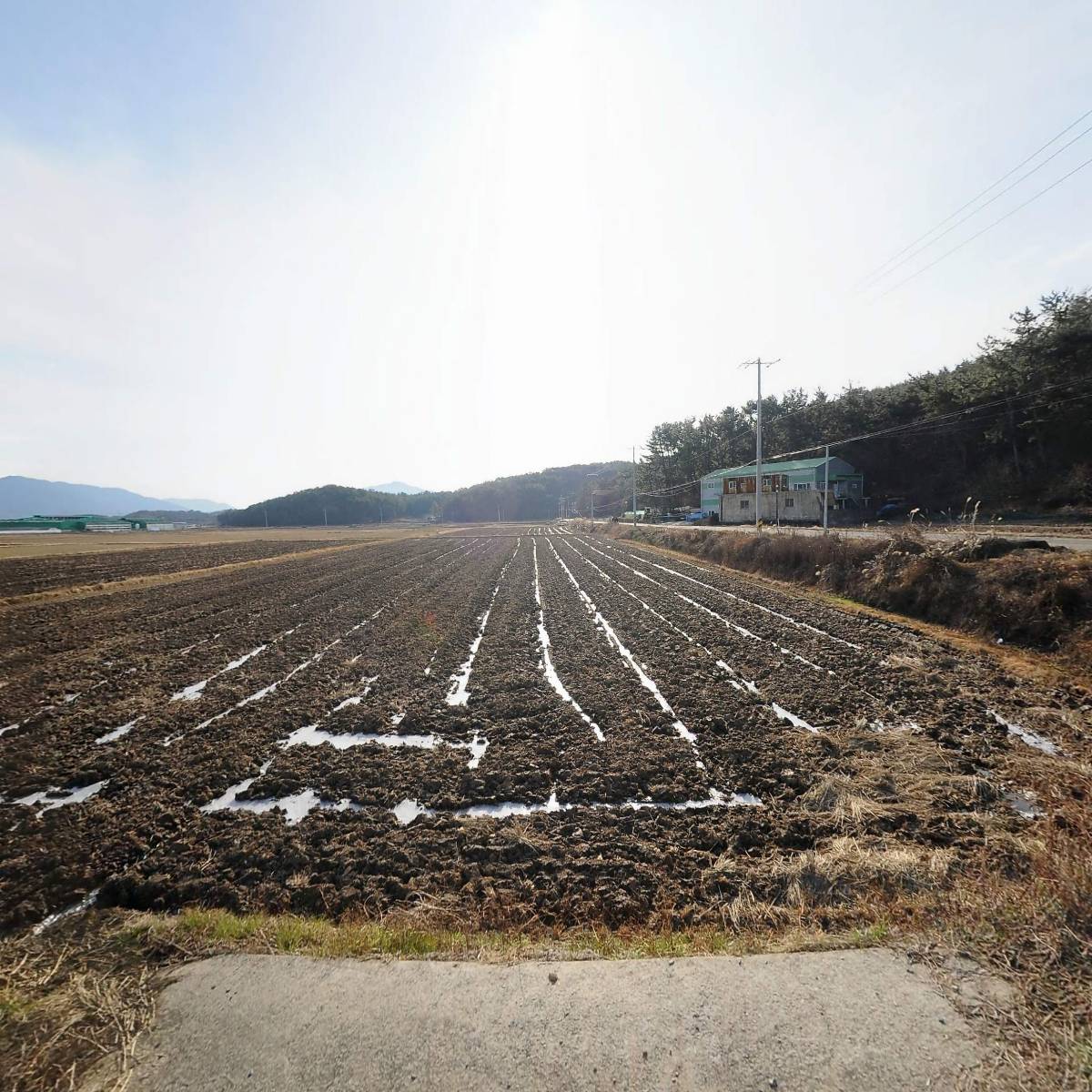 농업회사법인 주식회사 코코팜