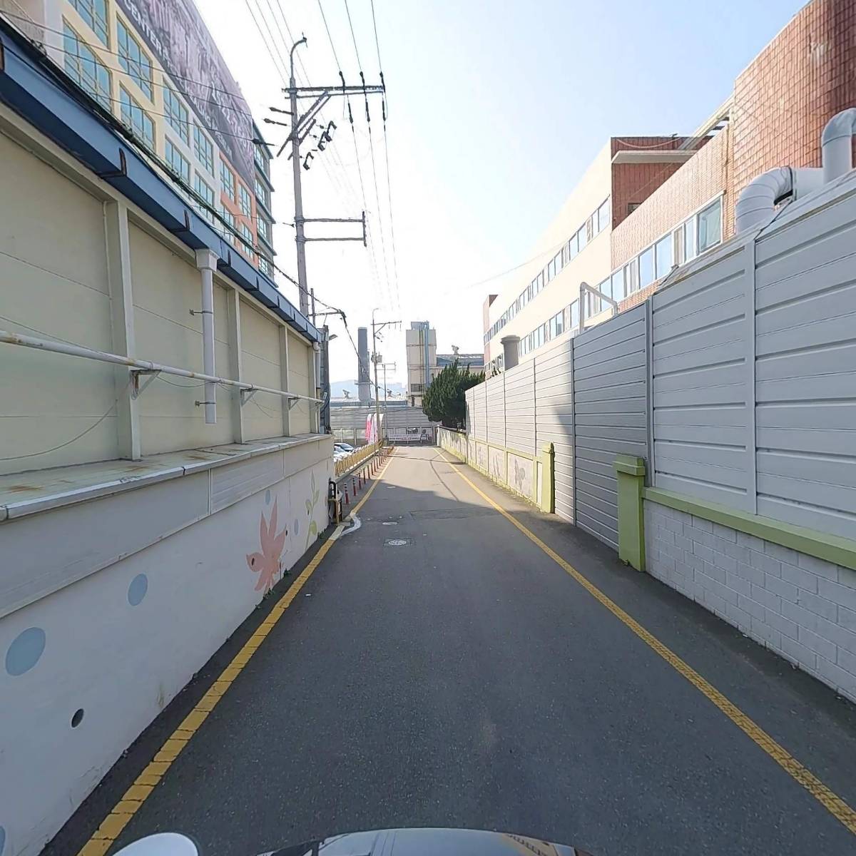 부산갈매기_2