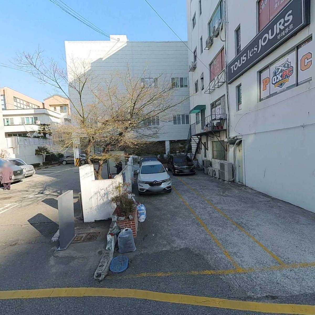 차이동물병원