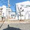 엘에스 스틸_3