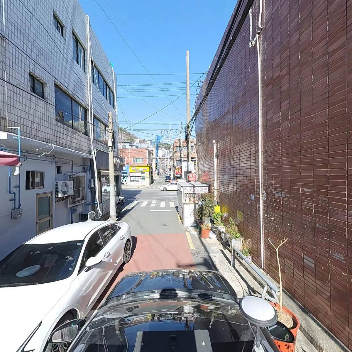 진약국_4