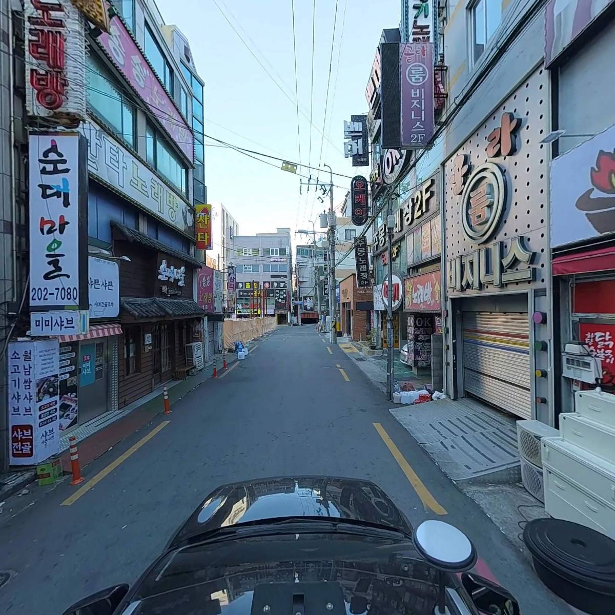 신세계 꽃돼지_4