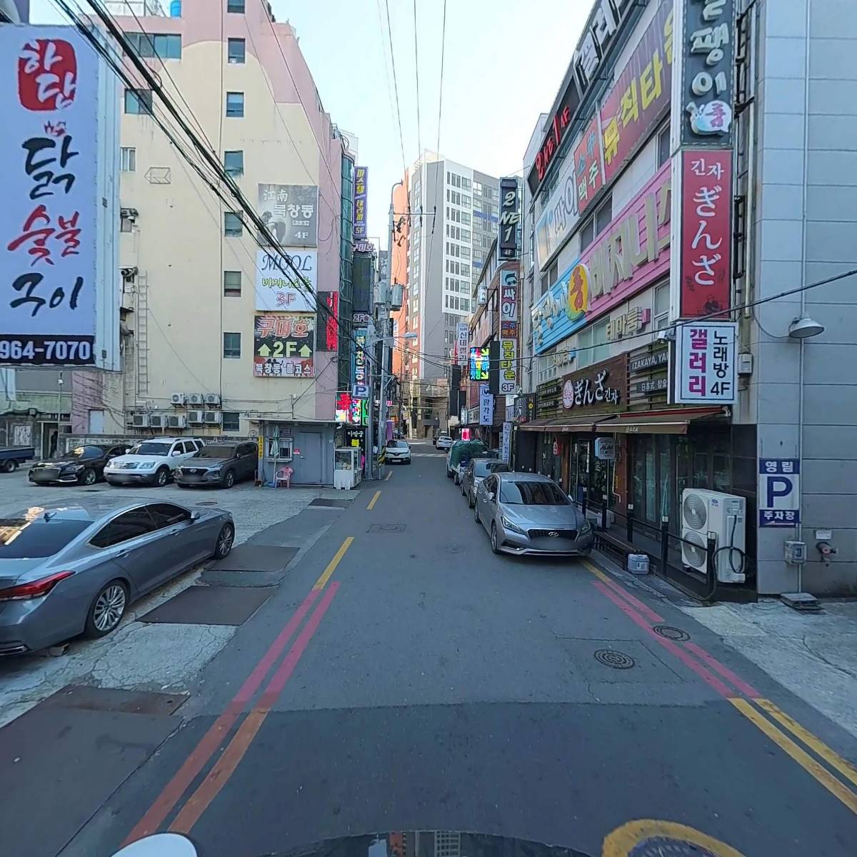 신세계 꽃돼지_2