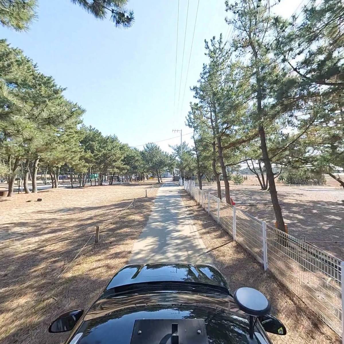 청포대일등캠핑장_4