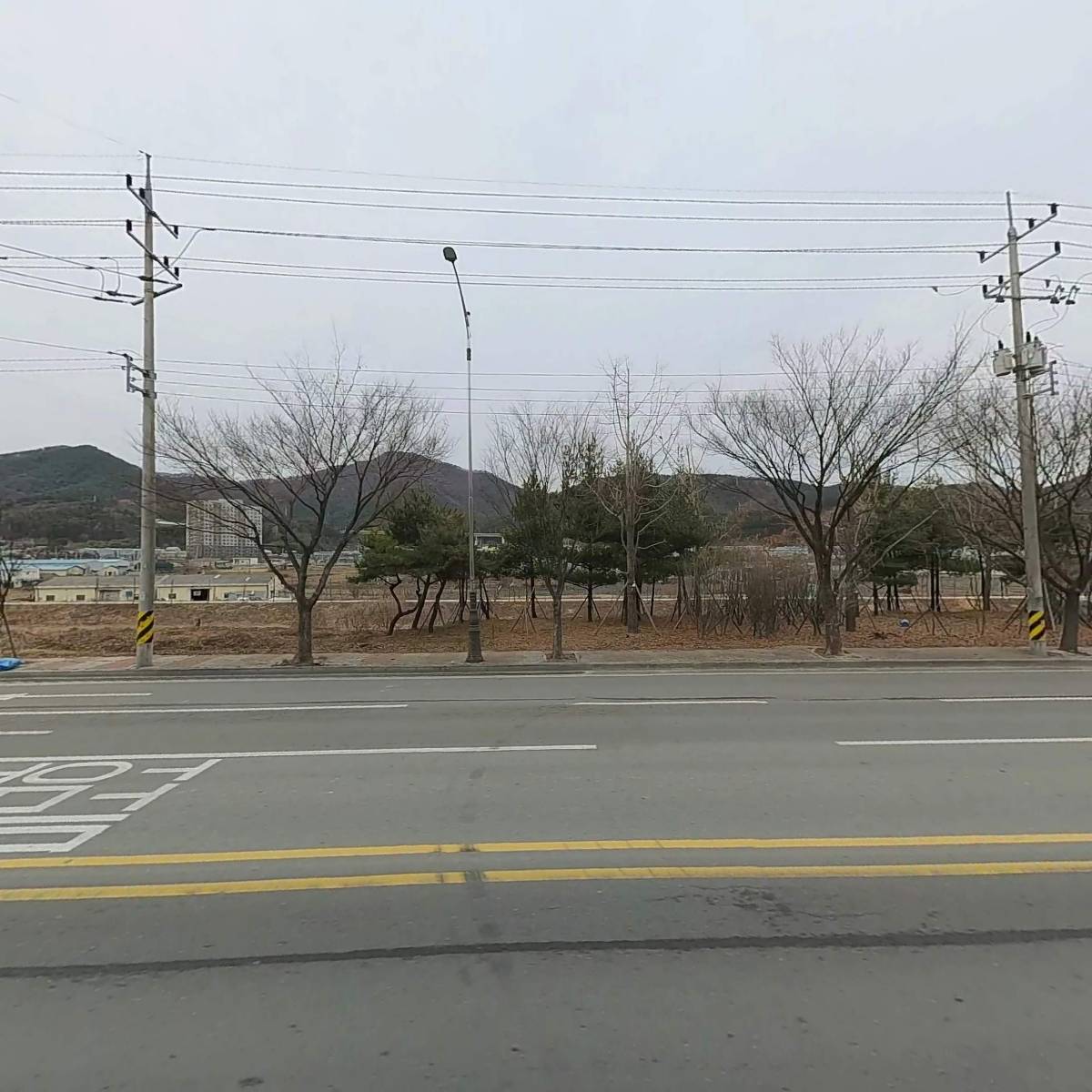 미송아트_3