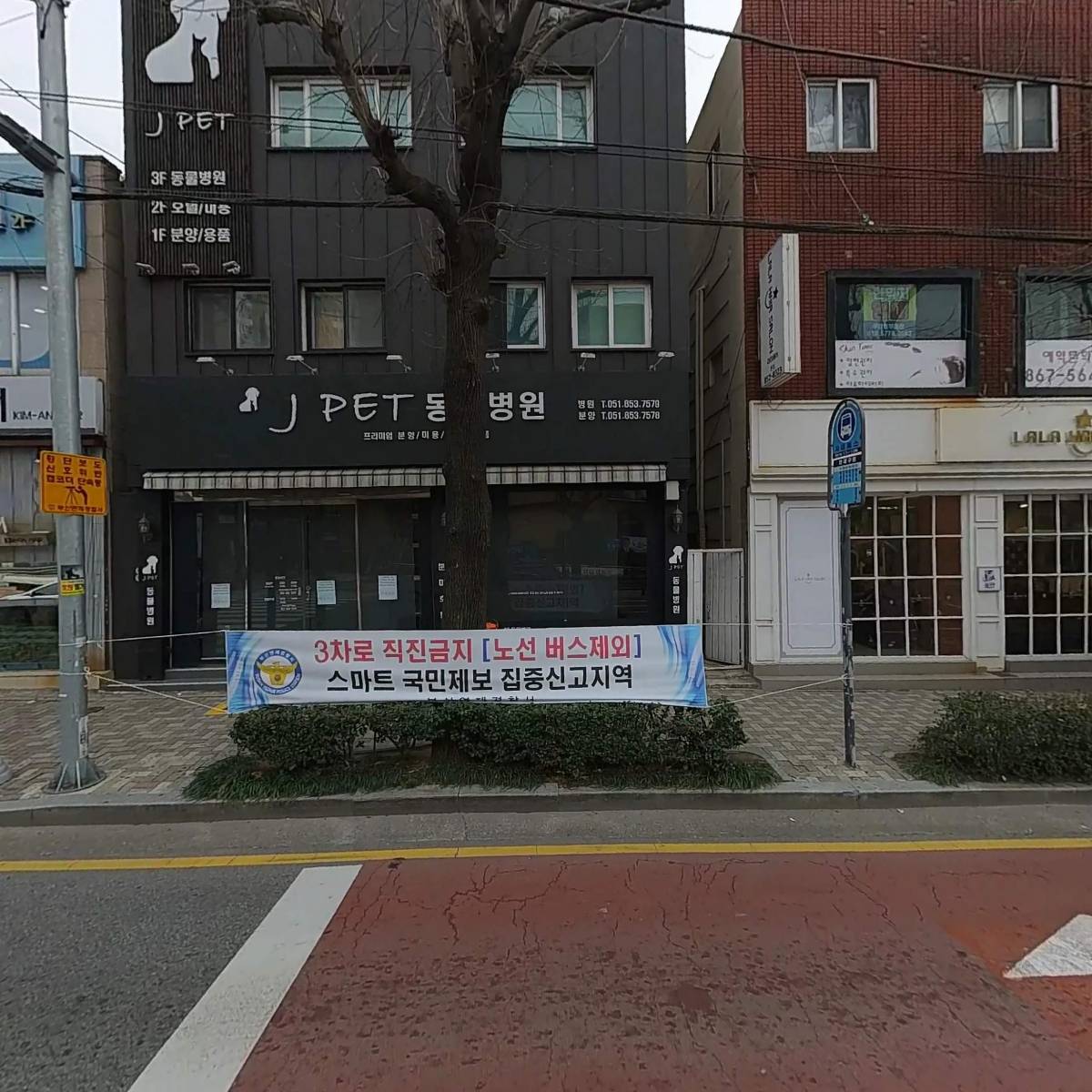 제이펫(Jpet)동물병원