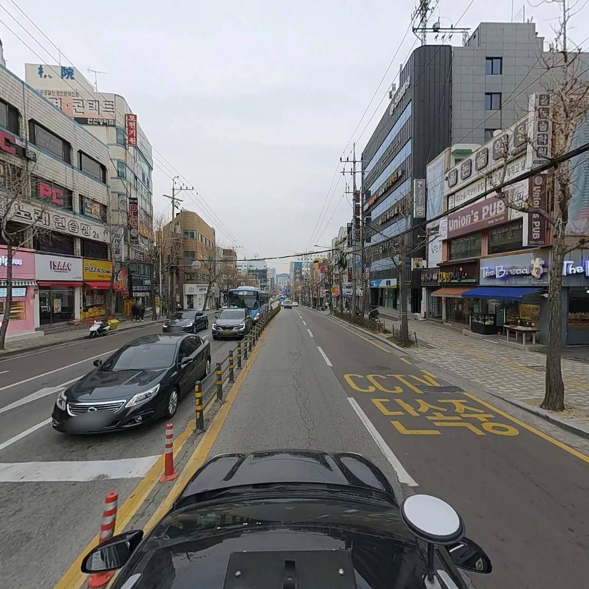 나무에스테틱_4
