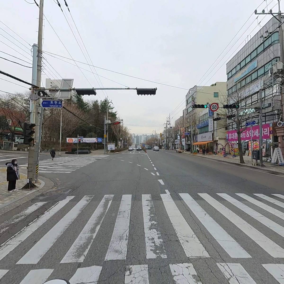 나무에스테틱_2