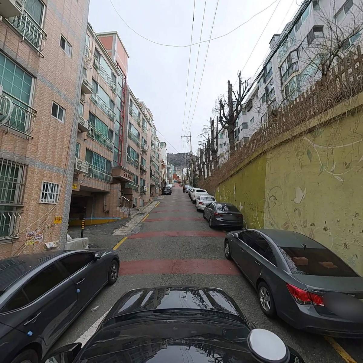 황금십자수_4