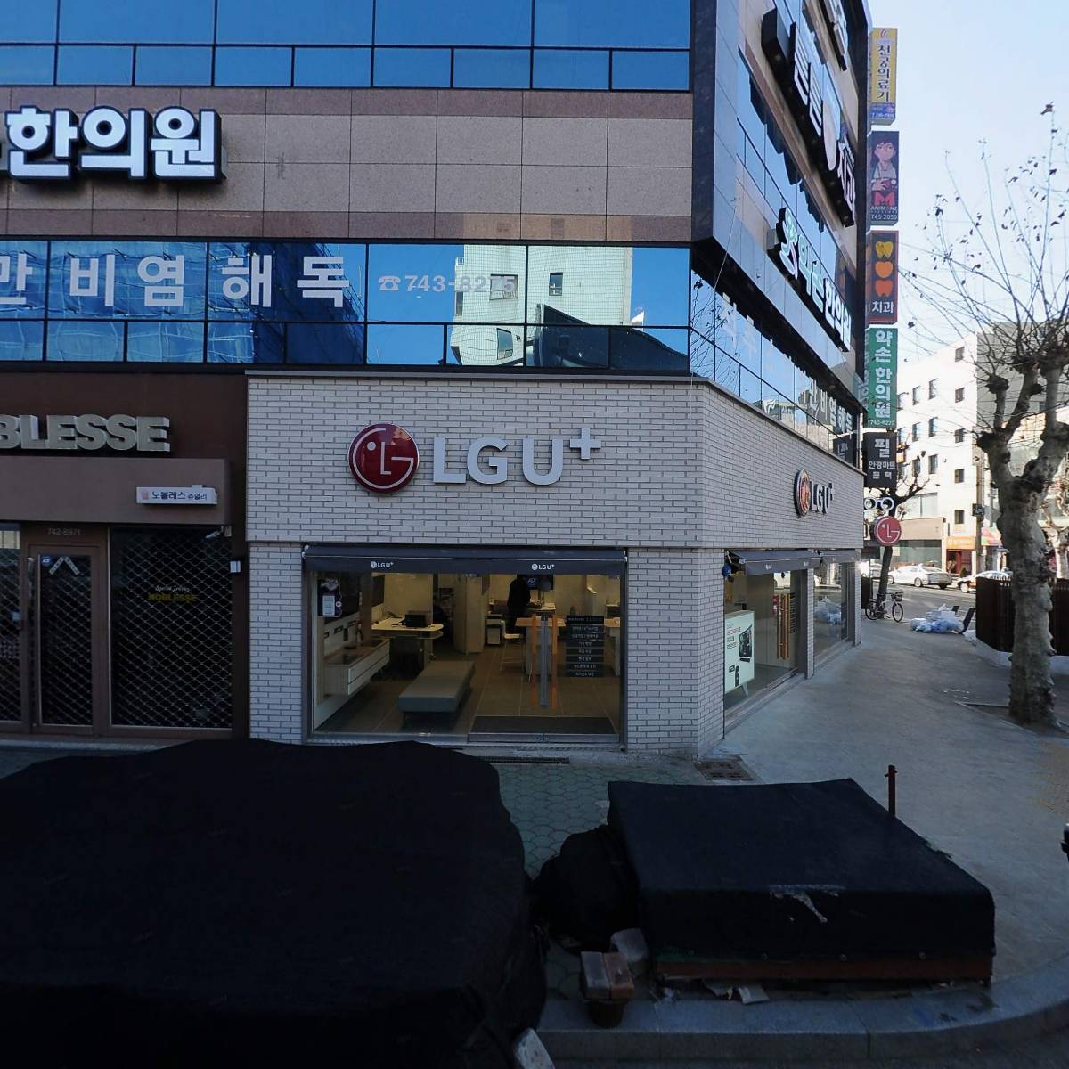 대안동비너스