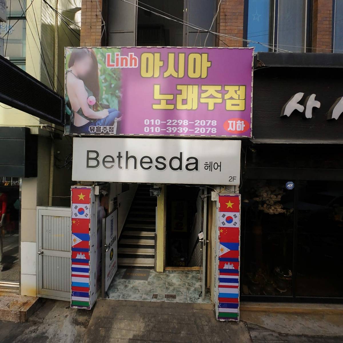 베데스다헤어
