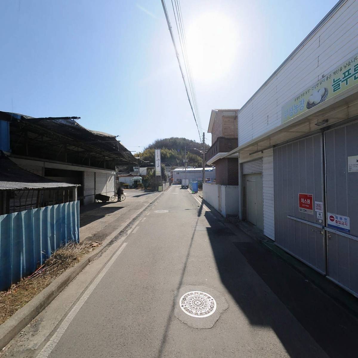 부성농장계란_2