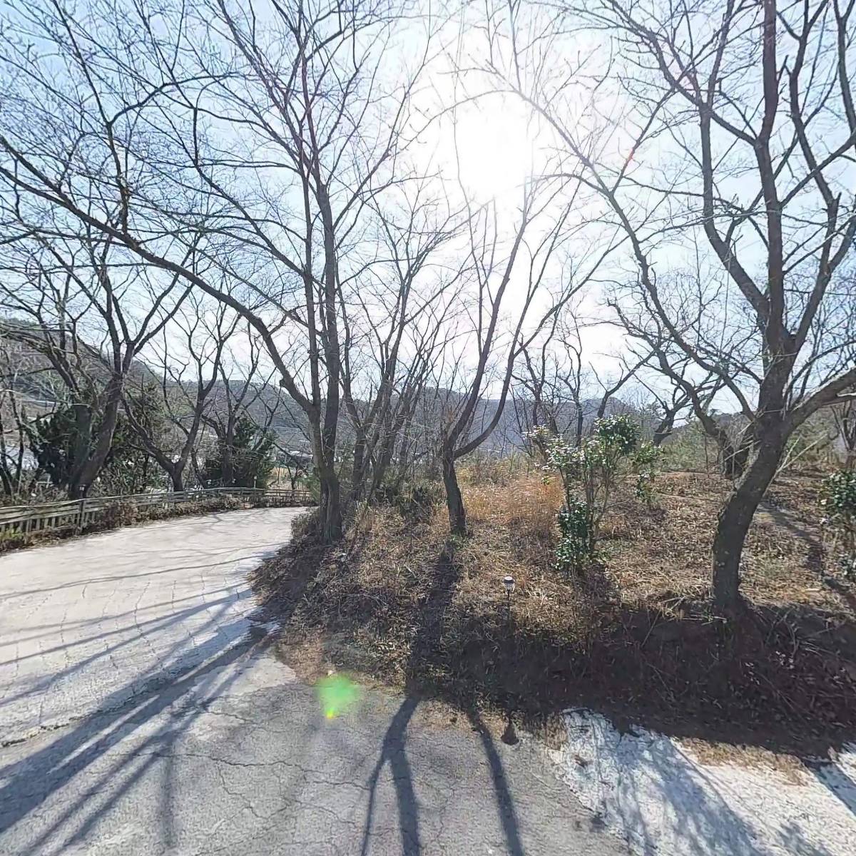 브라운피크닉_3