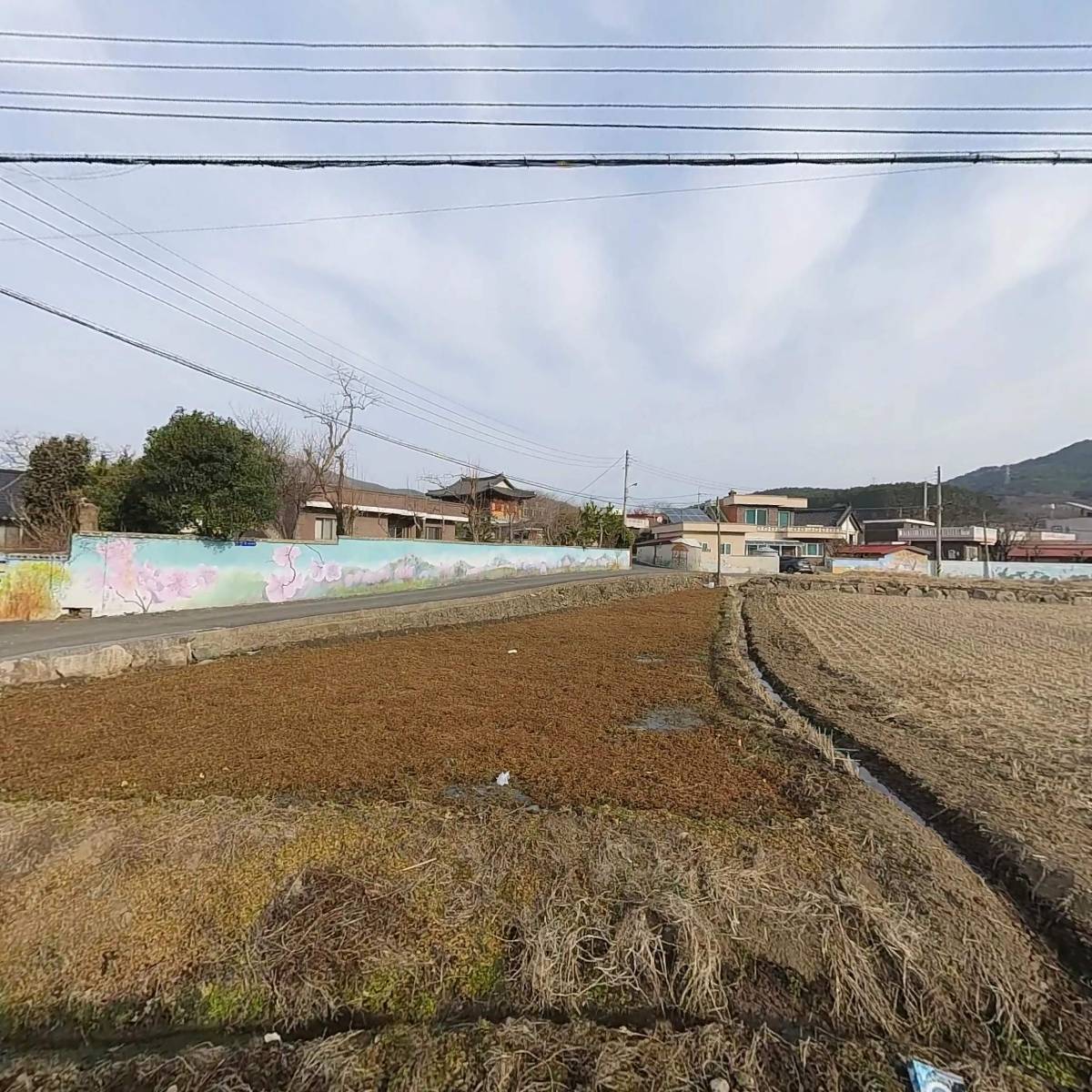 농업회사법인 모던팜(주)