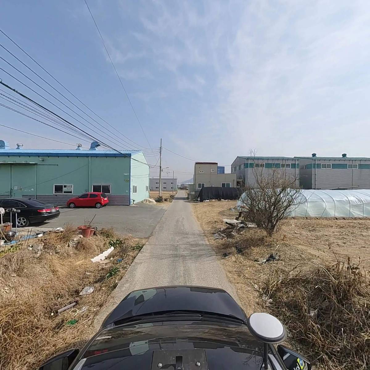 그린텍스알파_4