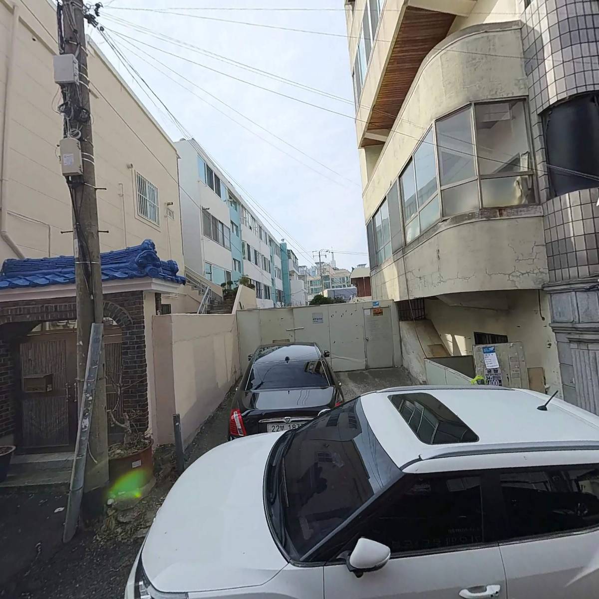 바다양푼이동태탕_3