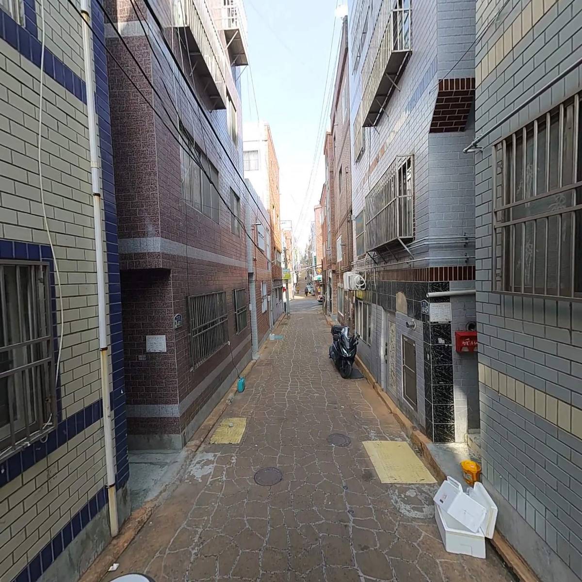 디코멜리_2