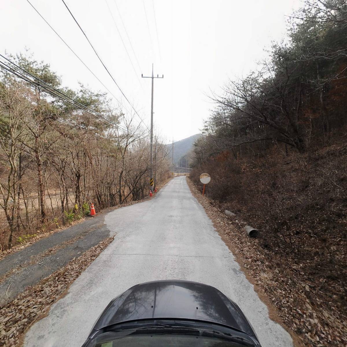 자연농원_4