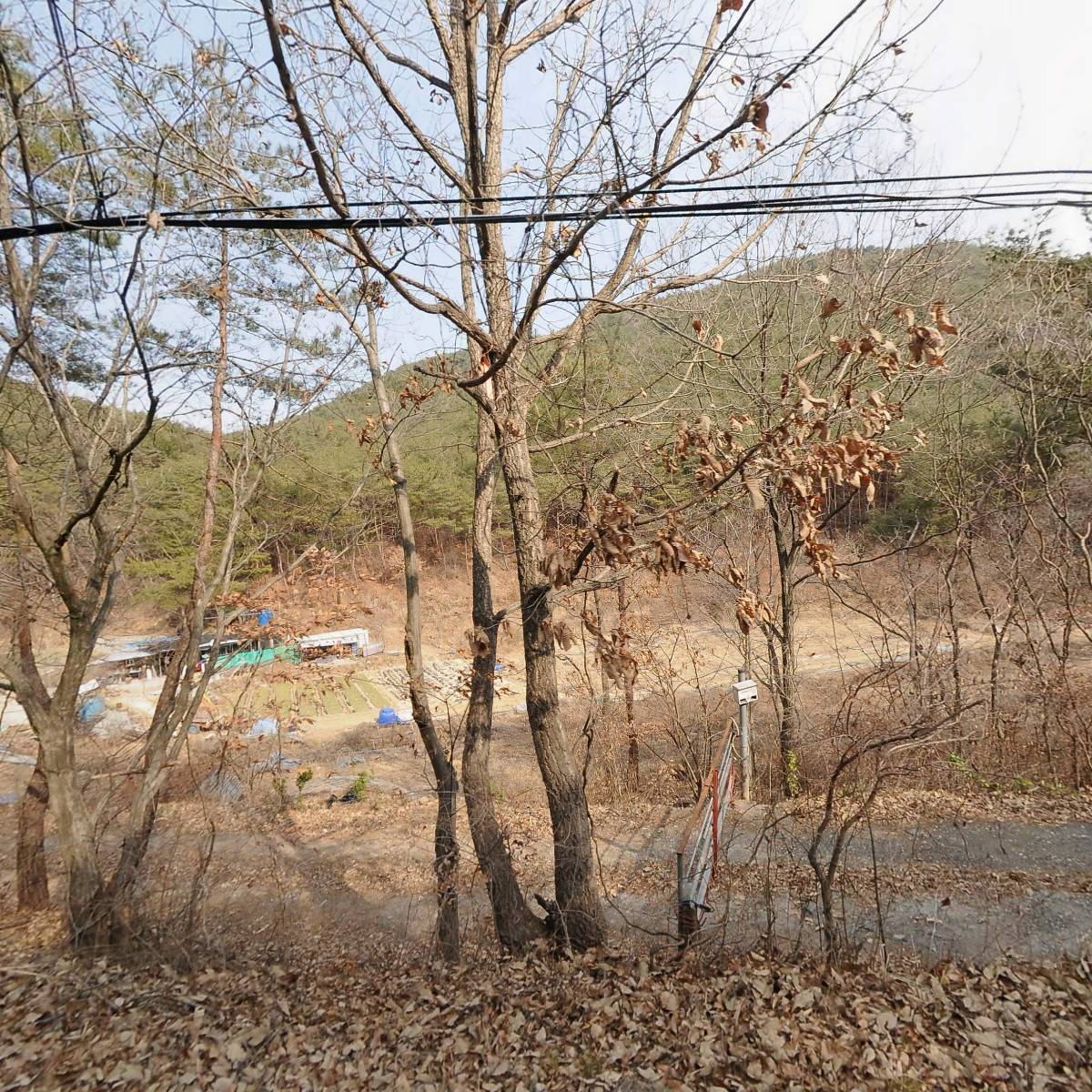 자연농원_3