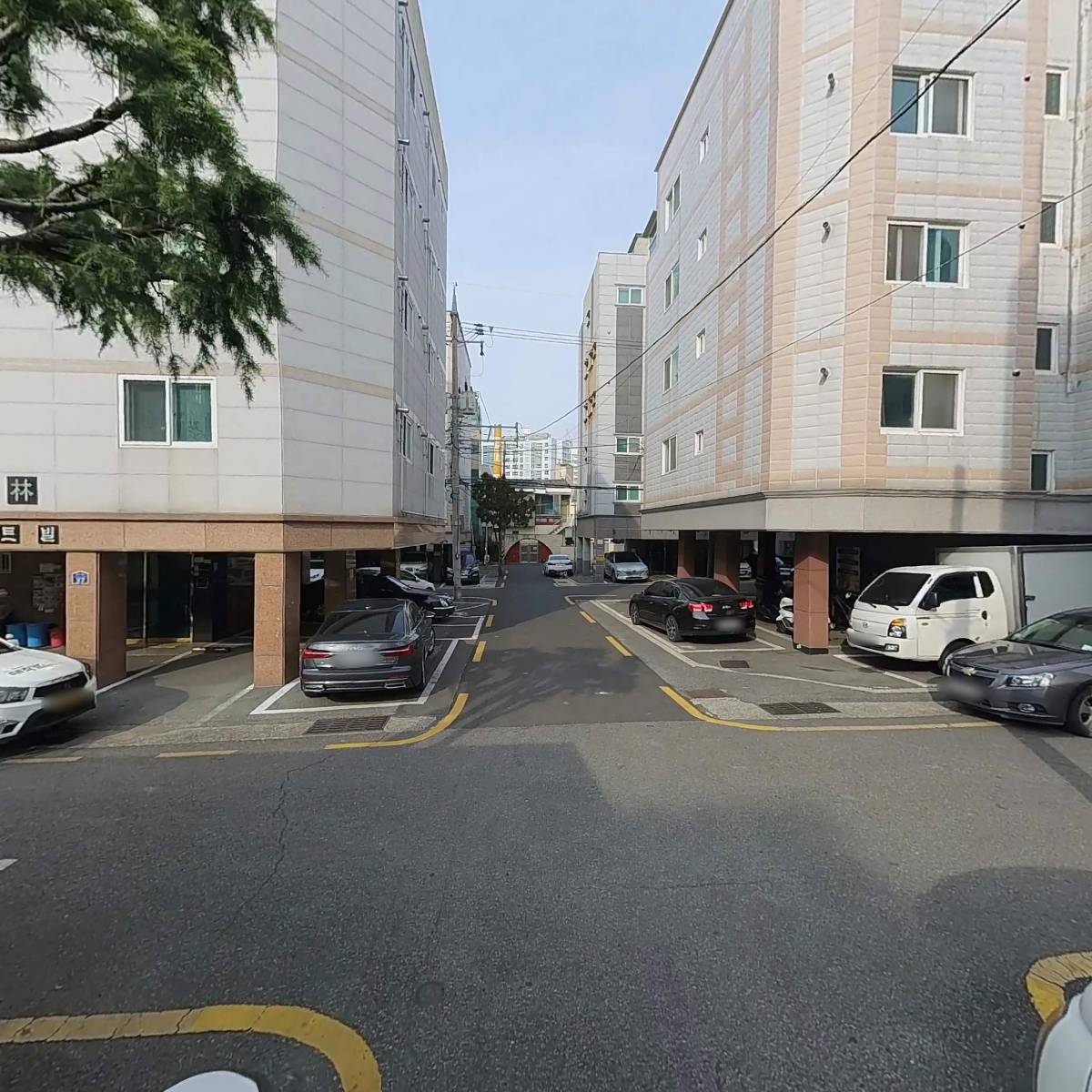 보성_2