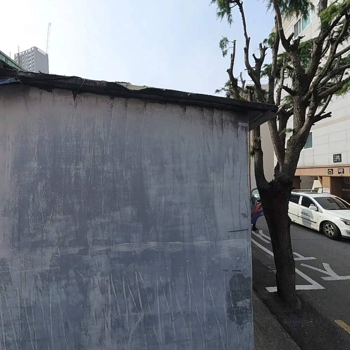 보성