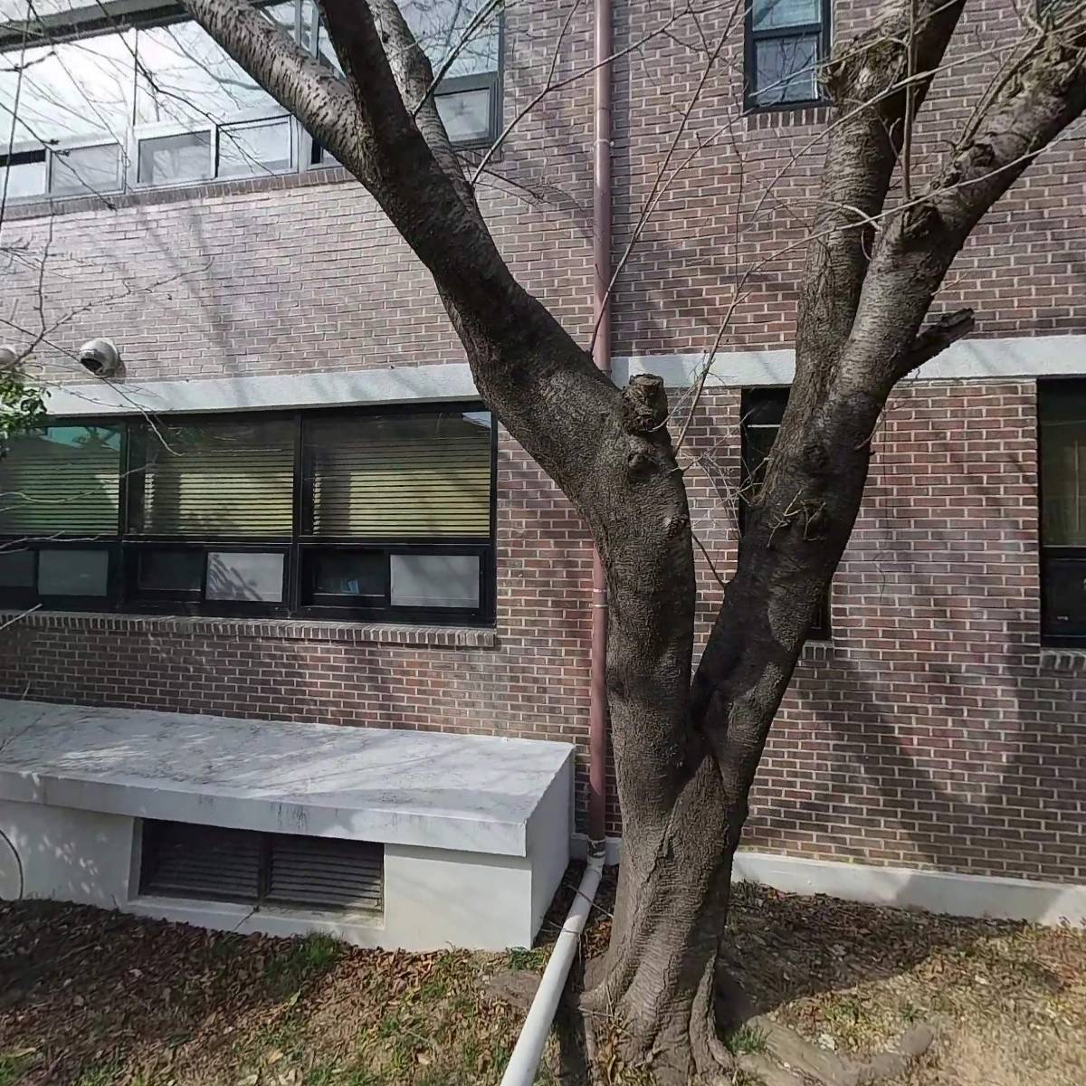 동래종합사회복지관_3