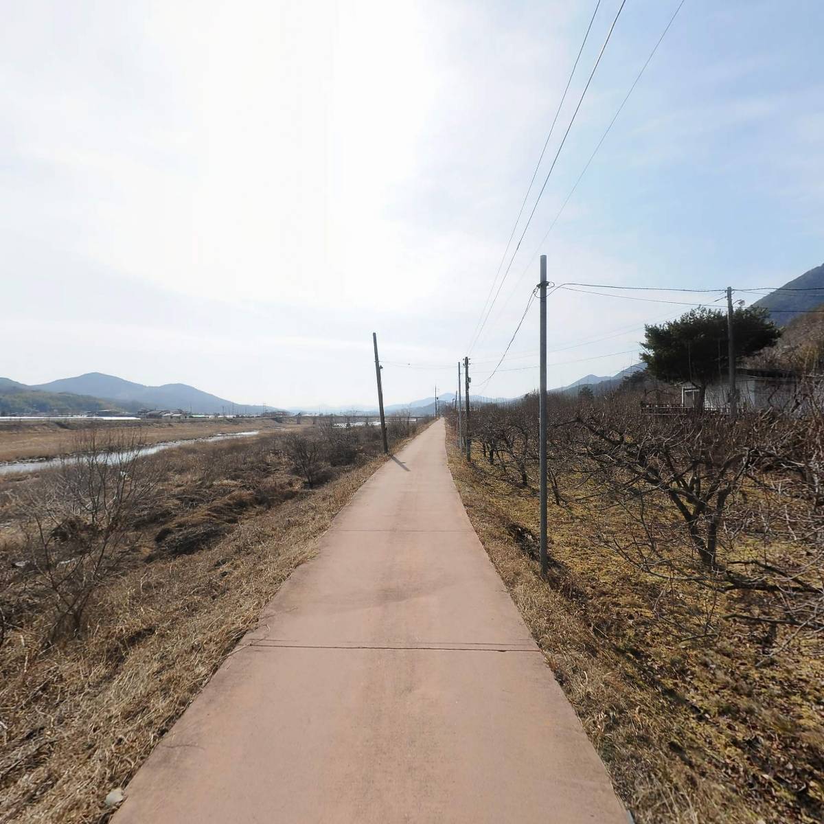 도도인터페이스주식회사_2