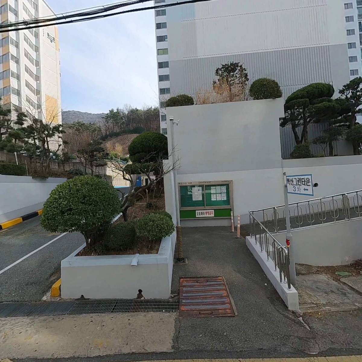 파이돈나무_3