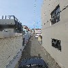 펫하쥬_4