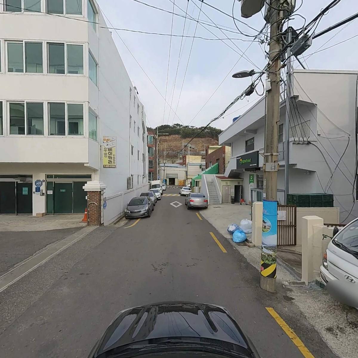 제노테크_4