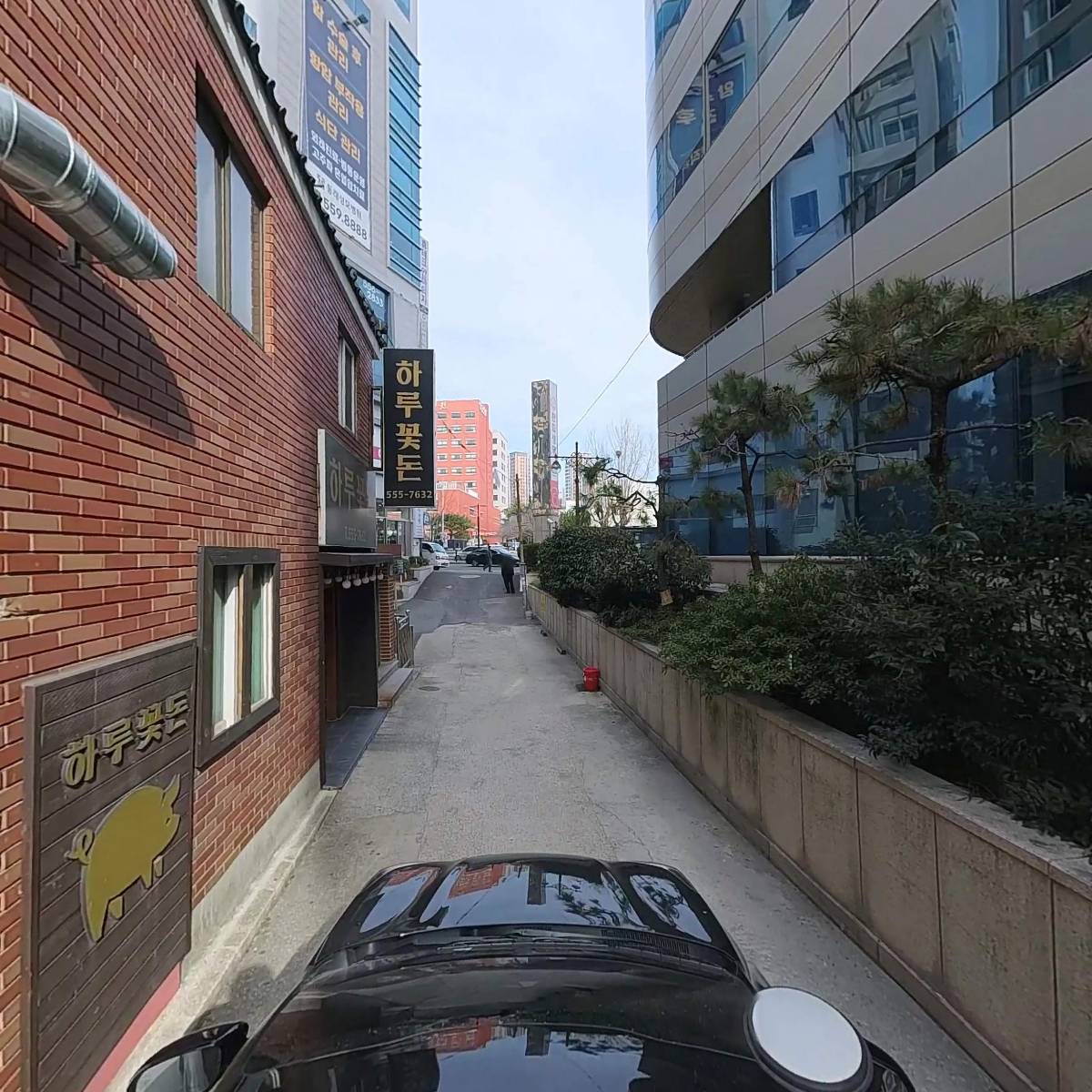 주원베네카_4